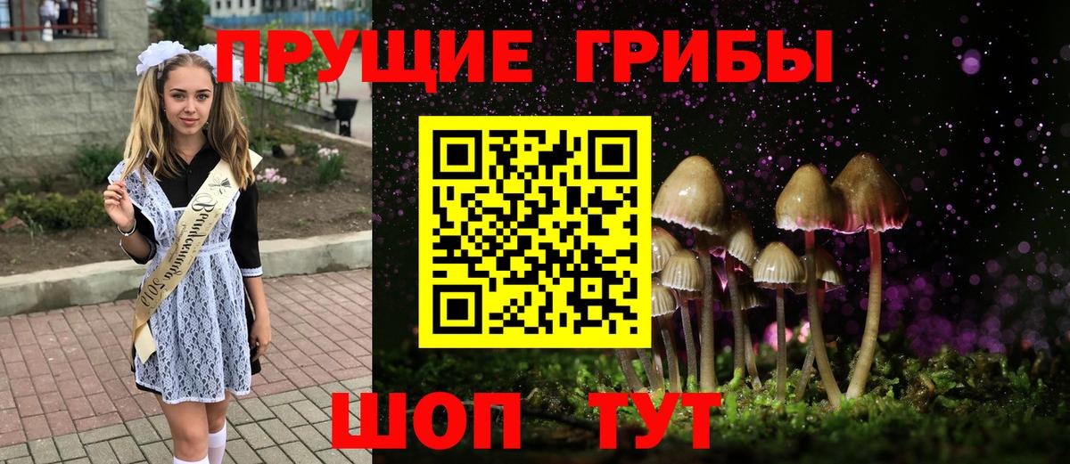 Кольчугино  Псилоцибиновые грибы Magic Shrooms  Вход с VPN 